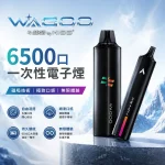 一次性電子煙 哇酷/WAGOO & KIS5 6500口 12種口味