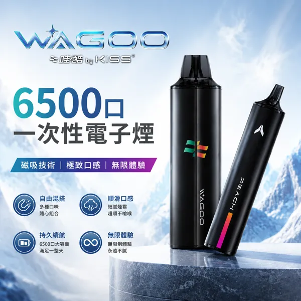 一次性電子煙 哇酷/WAGOO & KIS5 6500口 12種口味