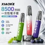 一次性電子煙 梟客XIAOKE 8500口 20種口味