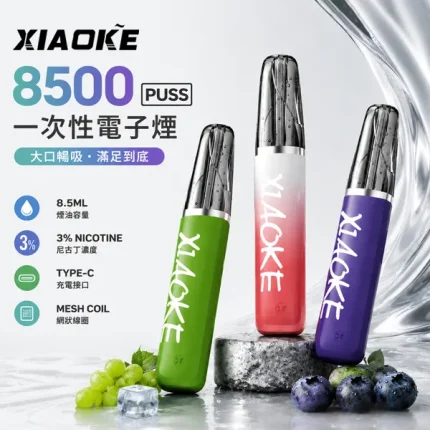 一次性電子煙 梟客XIAOKE 8500口 20種口味