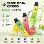 一次性電子煙 風暴VAPOR STORM CF5000口 13種口味